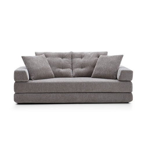 Modern 2-Seater Convertible Sofa Bed | Sponge Compression Design
